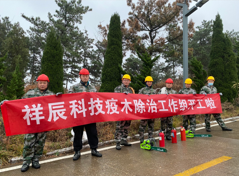 長(cháng)島縣松材線(xiàn)蟲(chóng)病疫木除治